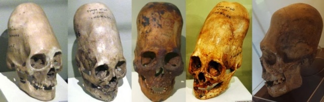 Karen Hudes announces existence of a second species on Earth – Is this Courtney Brown’s Announcement? 6ce72-skulls
